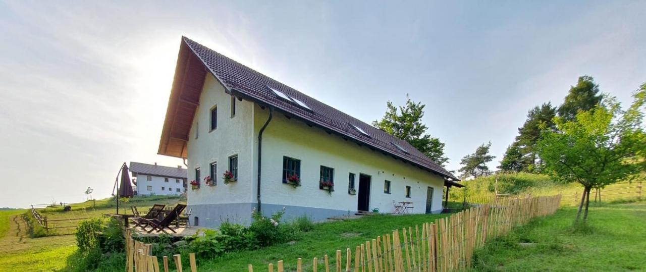 Haselbach Ferienhaus Am Dachsberg, Bayerischer Wald 아파트 외부 사진