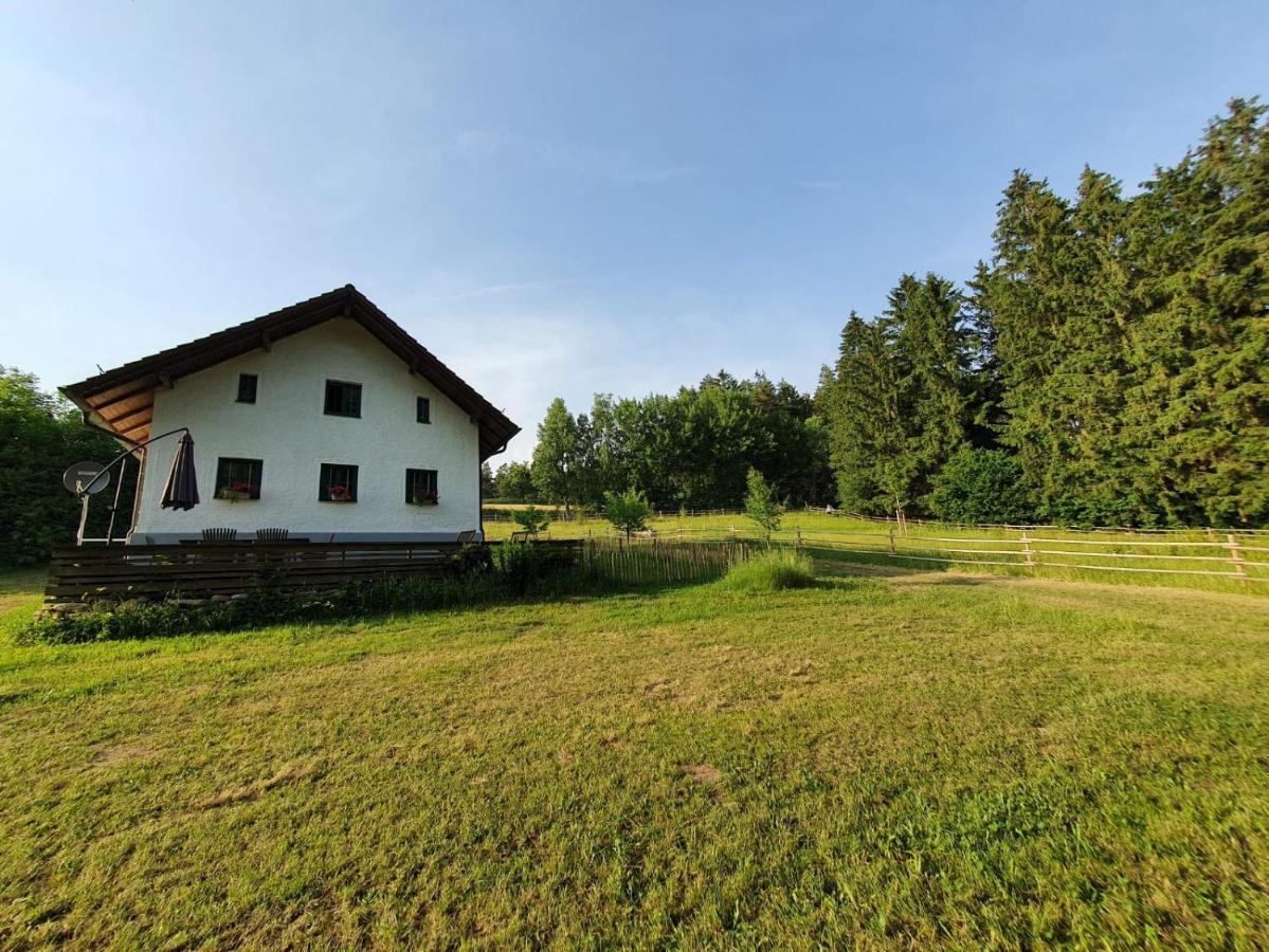 Haselbach Ferienhaus Am Dachsberg, Bayerischer Wald 아파트 외부 사진