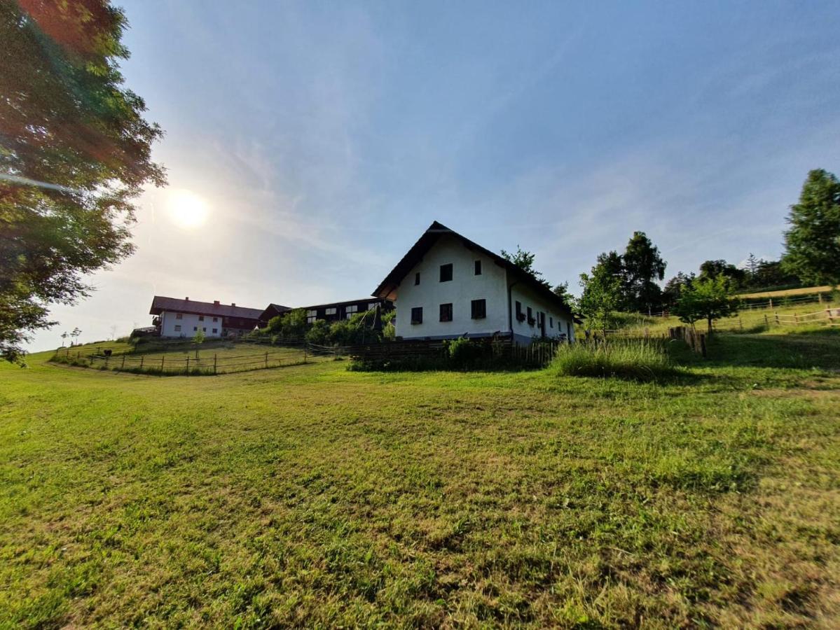 Haselbach Ferienhaus Am Dachsberg, Bayerischer Wald 아파트 외부 사진